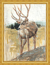 Load image into Gallery viewer, Colors of The Wild Large Wall Art
