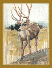 Load image into Gallery viewer, Colors of The Wild Large Wall Art
