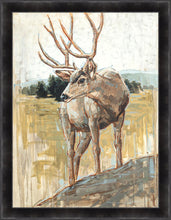 Load image into Gallery viewer, Colors of The Wild
