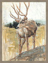 Load image into Gallery viewer, Colors of The Wild Large Wall Art
