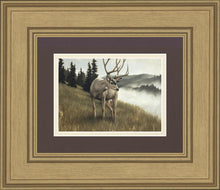 Load image into Gallery viewer, Nature's Silence Gallery Wrap
