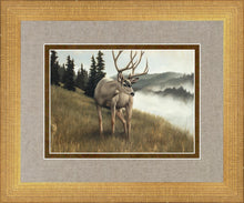 Load image into Gallery viewer, Nature's Silence Gallery Wrap
