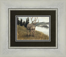 Load image into Gallery viewer, Nature's Silence Gallery Wrap
