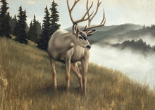 Load image into Gallery viewer, Nature's Silence Gallery Wrap
