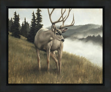 Load image into Gallery viewer, Nature's Silence Gallery Wrap

