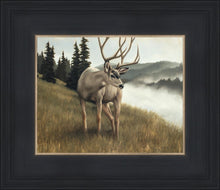 Load image into Gallery viewer, Nature's Silence
