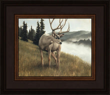 Load image into Gallery viewer, Nature's Silence
