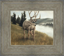 Load image into Gallery viewer, Nature's Silence
