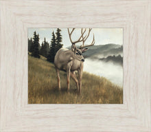 Load image into Gallery viewer, Nature's Silence
