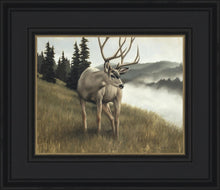 Load image into Gallery viewer, Nature's Silence
