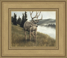 Load image into Gallery viewer, Nature's Silence
