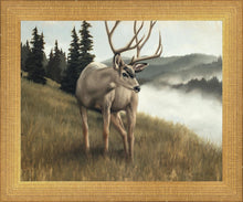 Load image into Gallery viewer, Nature's Silence
