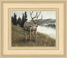 Load image into Gallery viewer, Nature's Silence
