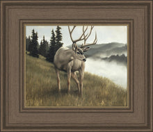 Load image into Gallery viewer, Nature's Silence
