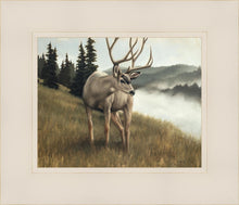 Load image into Gallery viewer, Nature's Silence
