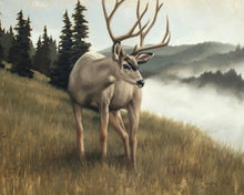 Load image into Gallery viewer, Nature's Silence
