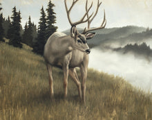 Load image into Gallery viewer, Nature's Silence Gallery Wrap

