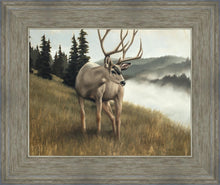 Load image into Gallery viewer, Nature's Silence
