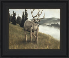 Load image into Gallery viewer, Nature's Silence
