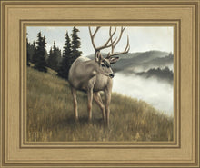 Load image into Gallery viewer, Nature's Silence

