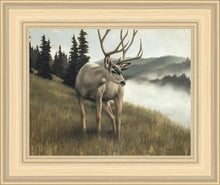 Load image into Gallery viewer, Nature's Silence
