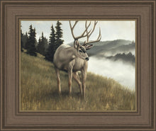 Load image into Gallery viewer, Nature's Silence
