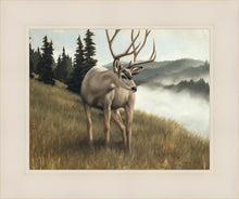 Load image into Gallery viewer, Nature's Silence
