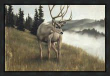 Load image into Gallery viewer, Nature's Silence
