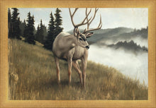 Load image into Gallery viewer, Nature's Silence
