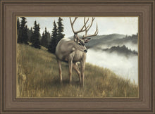 Load image into Gallery viewer, Nature's Silence
