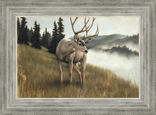 Load image into Gallery viewer, Nature's Silence
