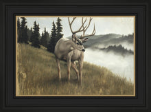 Load image into Gallery viewer, Nature's Silence
