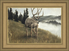 Load image into Gallery viewer, Nature's Silence

