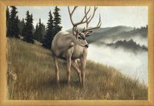 Load image into Gallery viewer, Nature's Silence
