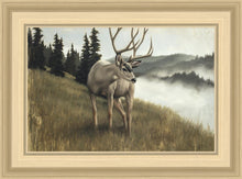 Load image into Gallery viewer, Nature's Silence
