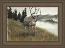 Load image into Gallery viewer, Nature's Silence
