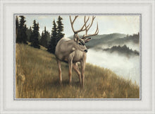 Load image into Gallery viewer, Nature's Silence
