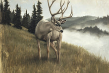 Load image into Gallery viewer, Nature's Silence Gallery Wrap
