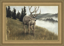 Load image into Gallery viewer, Nature's Silence
