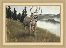 Load image into Gallery viewer, Nature's Silence
