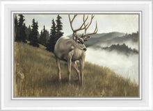 Load image into Gallery viewer, Nature's Silence
