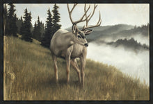 Load image into Gallery viewer, Nature's Silence

