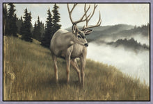 Load image into Gallery viewer, Nature's Silence
