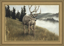 Load image into Gallery viewer, Nature's Silence
