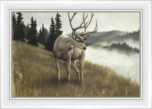 Load image into Gallery viewer, Nature's Silence
