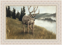 Load image into Gallery viewer, Nature's Silence
