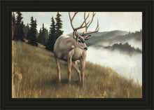 Load image into Gallery viewer, Nature's Silence
