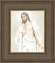 Load image into Gallery viewer, Risen
