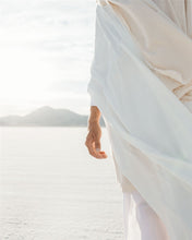 Load image into Gallery viewer, Peace Be Still
