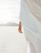 Load image into Gallery viewer, Peace Be Still
